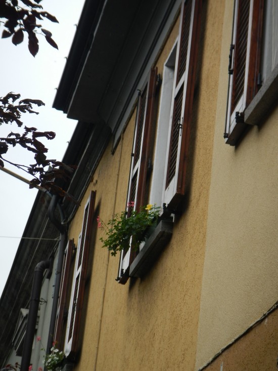 A window
